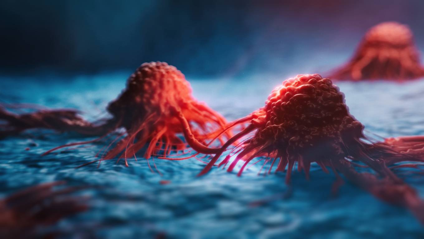 Türk Bilim İnsanları, Karaciğer Kanseri Tedavisinde Etkili Olan Yeni Bir Molekül Keşfetti !