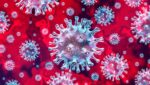 Çoklu Virüsler Çocukları Tehdit Ediyor